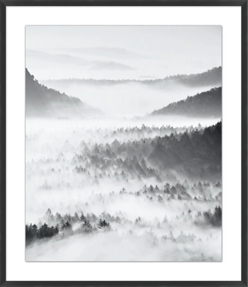 ART - Mist of the Mountains 1 | (37.25"W X 43.25"H)