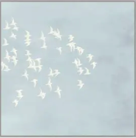 ART - Flight Passage 2 (25"W X 25"H)