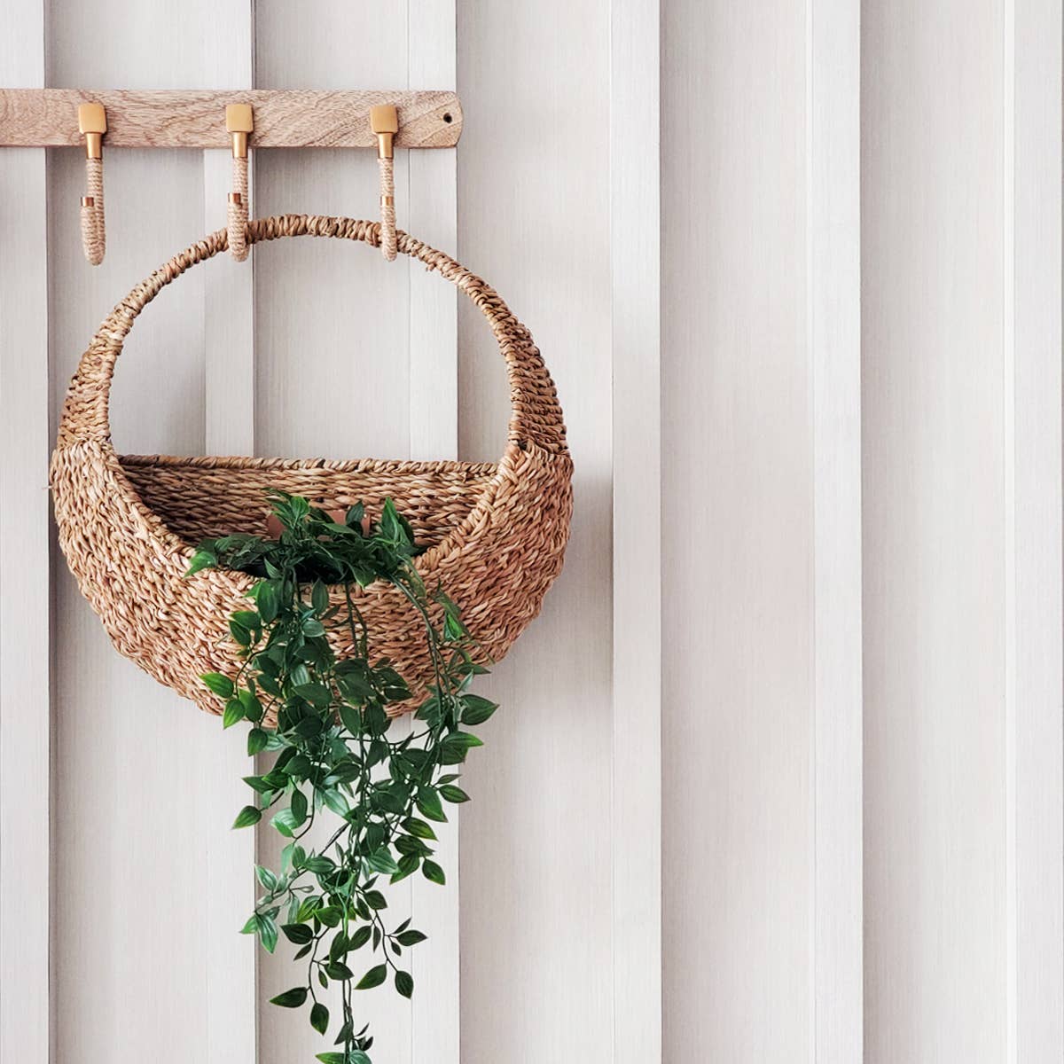 wall basket planter indoor Savar Hanging Planter