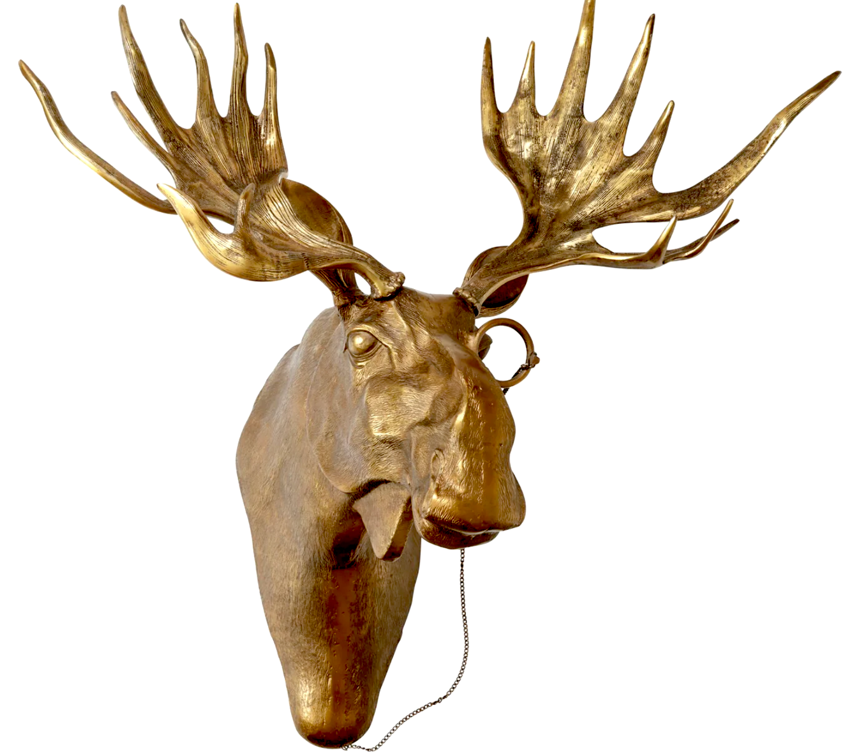 Eric + Eloise Collection - Eugene Moose Bronzed Hanging Wall Mount