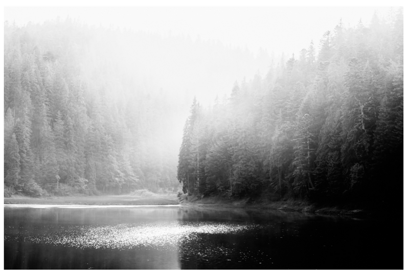 ART Mountain Lake Fog