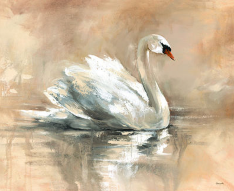 ART Swan Lake