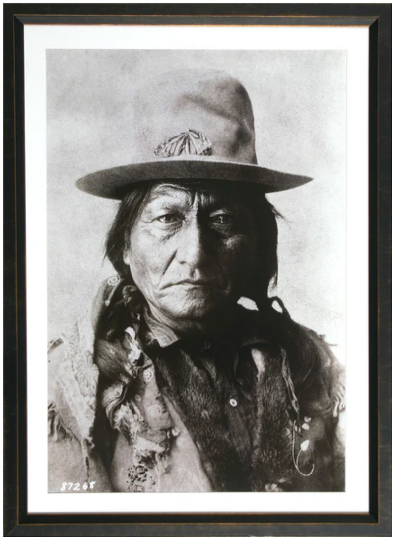 ART Sitting Bull