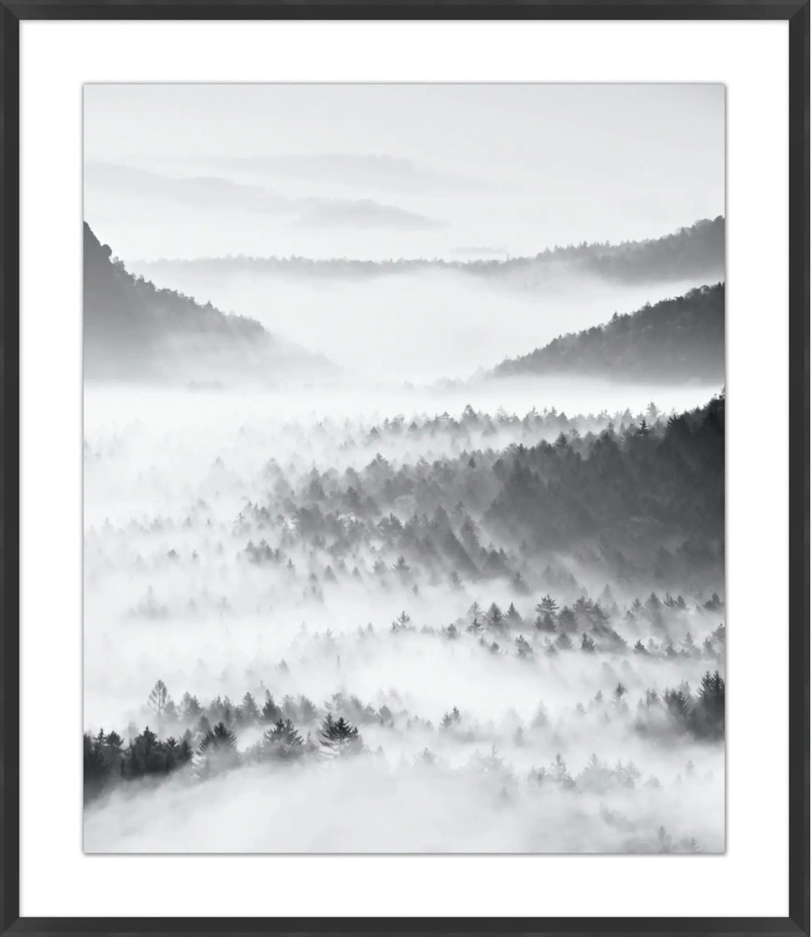 ART - Mist of the Mountains 1 | (37.25"W X 43.25"H)