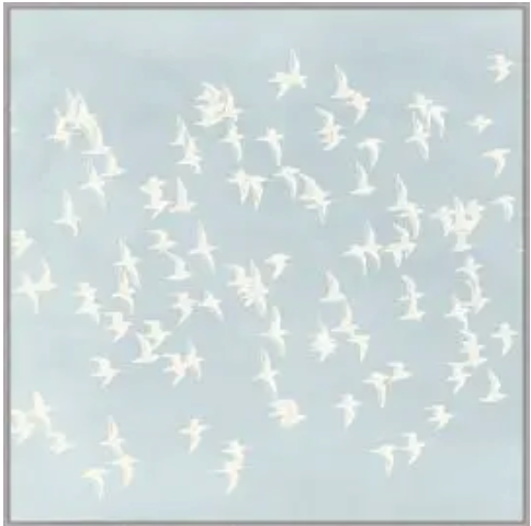ART - Flight of Passage 1 | (25"W X 25"H)