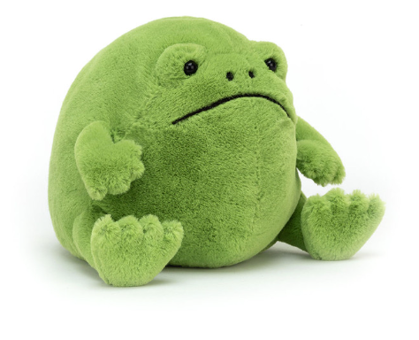 JELLYCAT Ricky Rain Frog | Niche&Co.