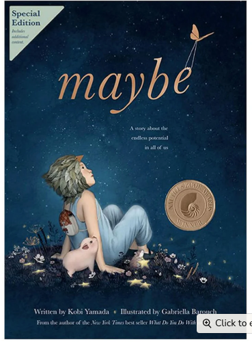 Maybe Book Special Edition