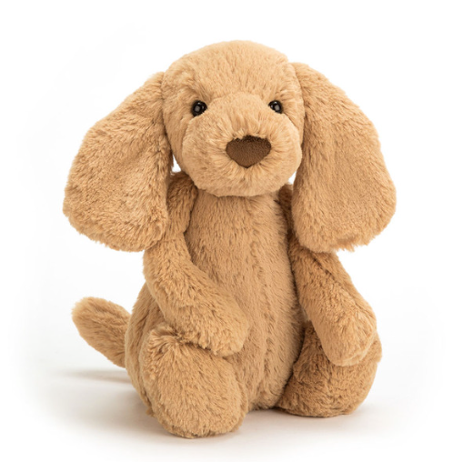 JELLYCAT Bashful Toffee Puppy | Niche&Co