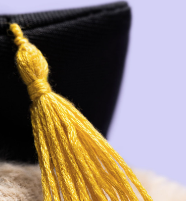 JELLYCAT - Bashful Bunny Graduation Outfit | Niche&Co