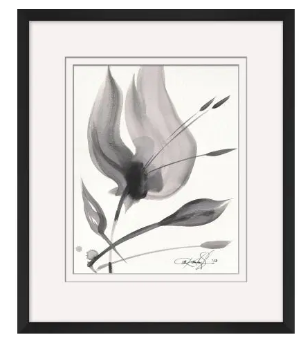 ART - Flourish in Ink