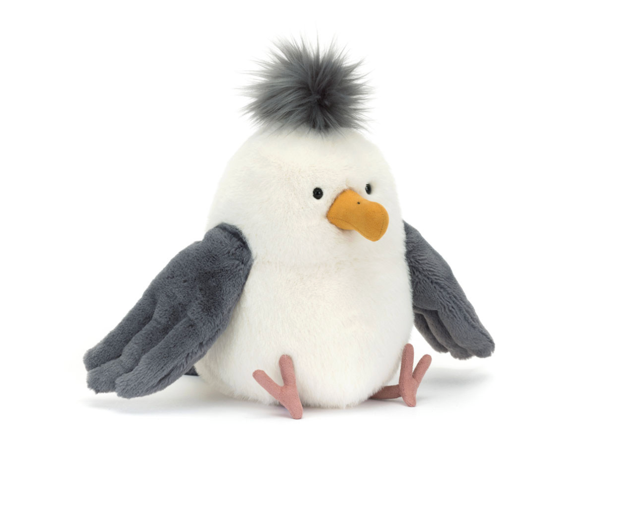 Chip Seagull