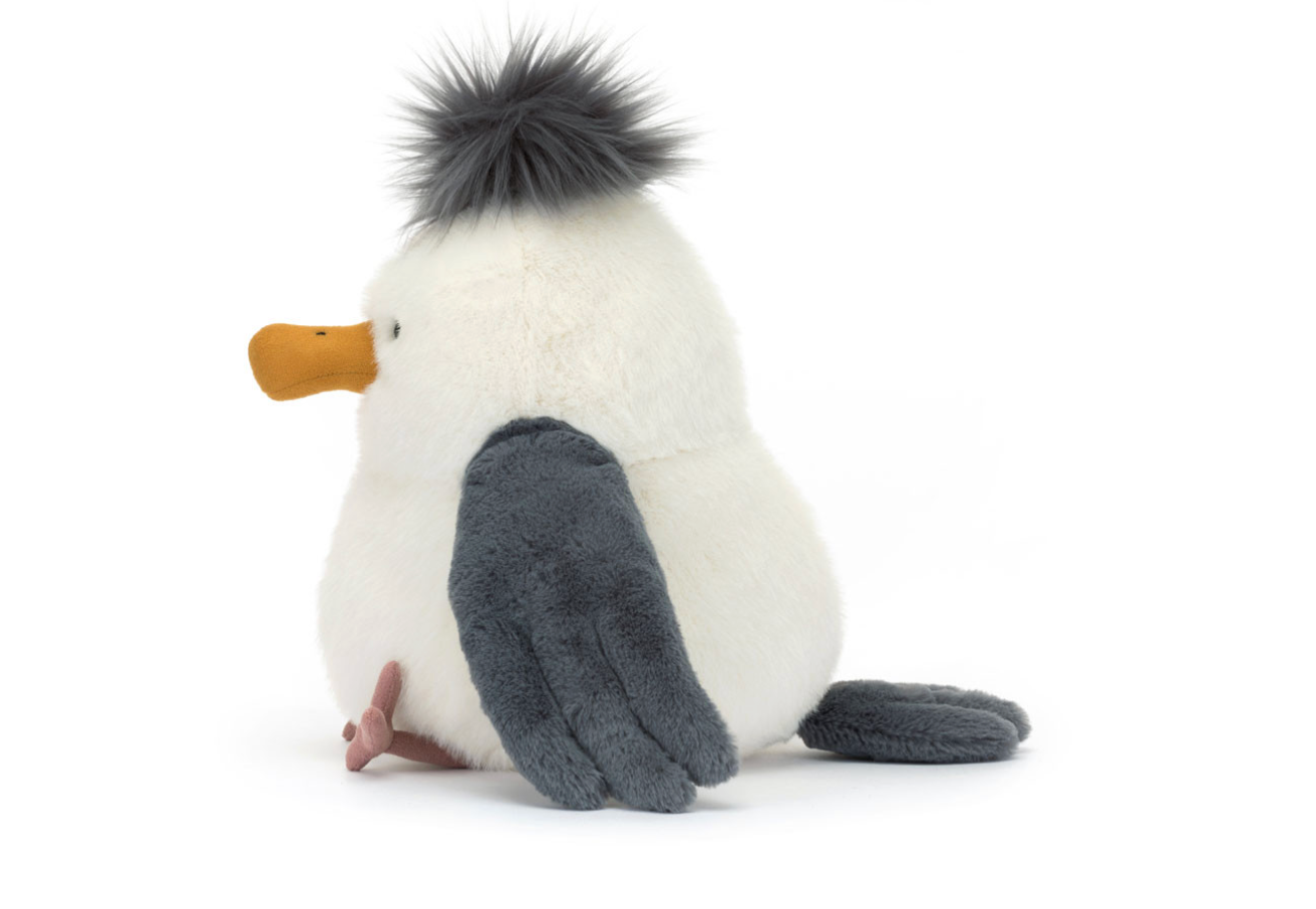 Chip Seagull