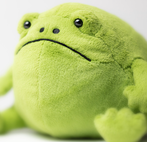 JELLYCAT - Ricky Rain Frog | Niche&Co