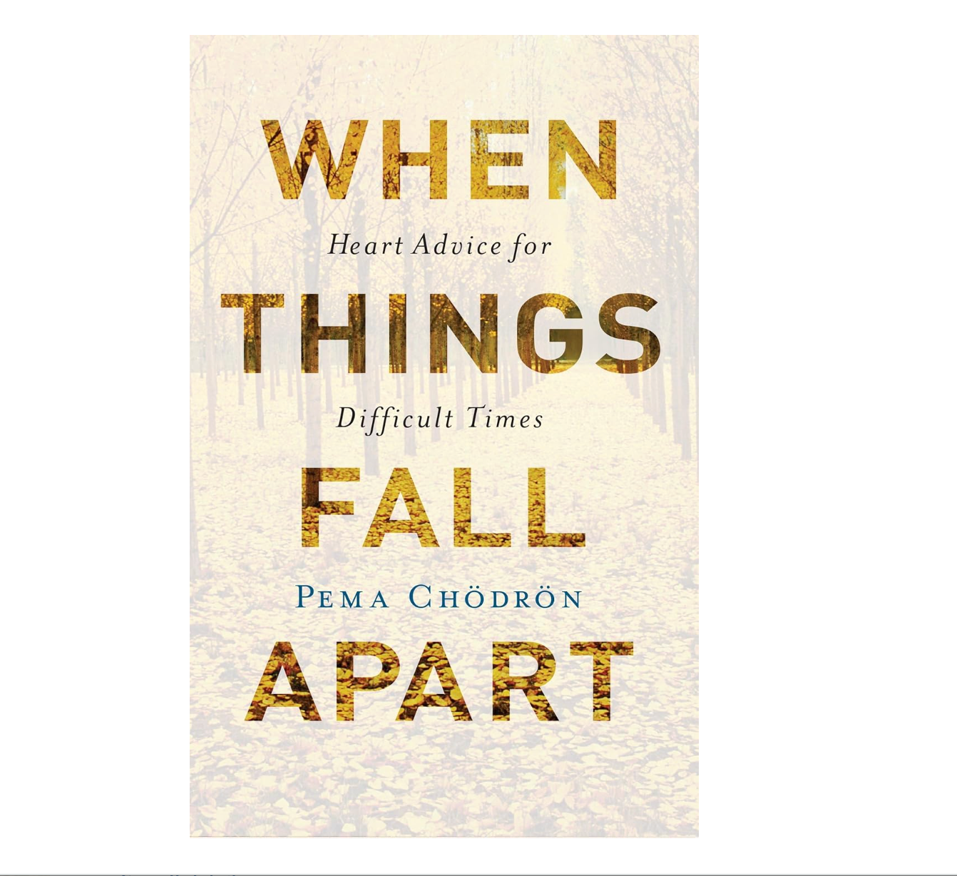 When Things Fall Apart