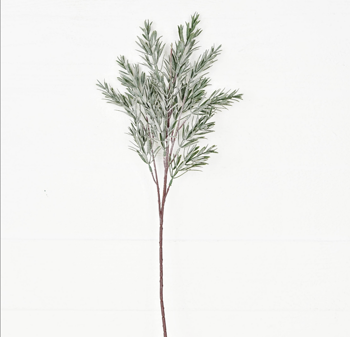 24in Spray-Frosted Rosemary pine spray