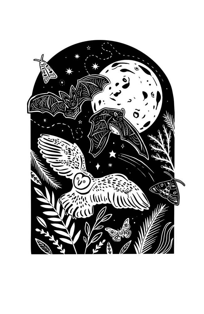Folk Tales of the Night