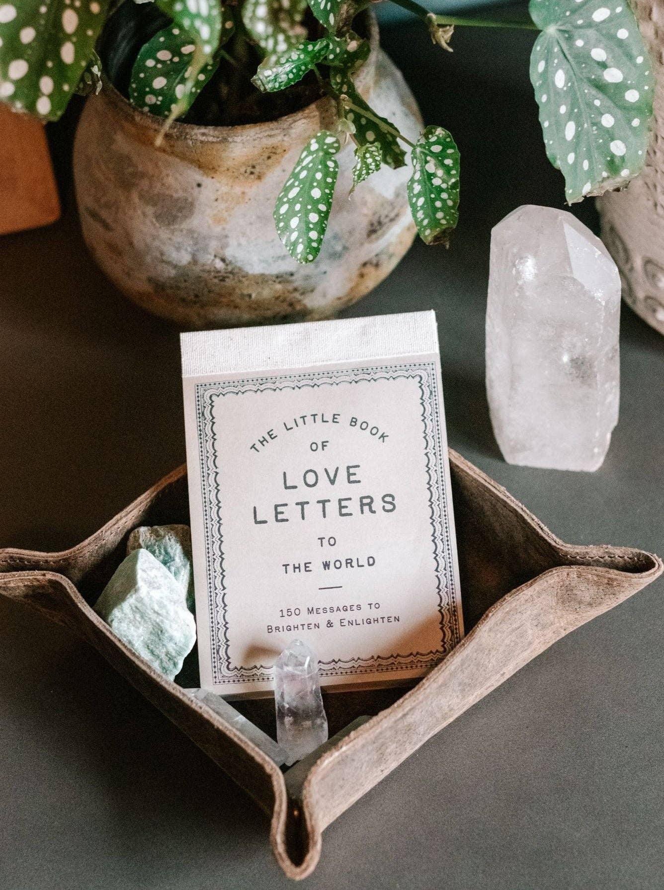 150 Love Letters to the World | Niche&Co
