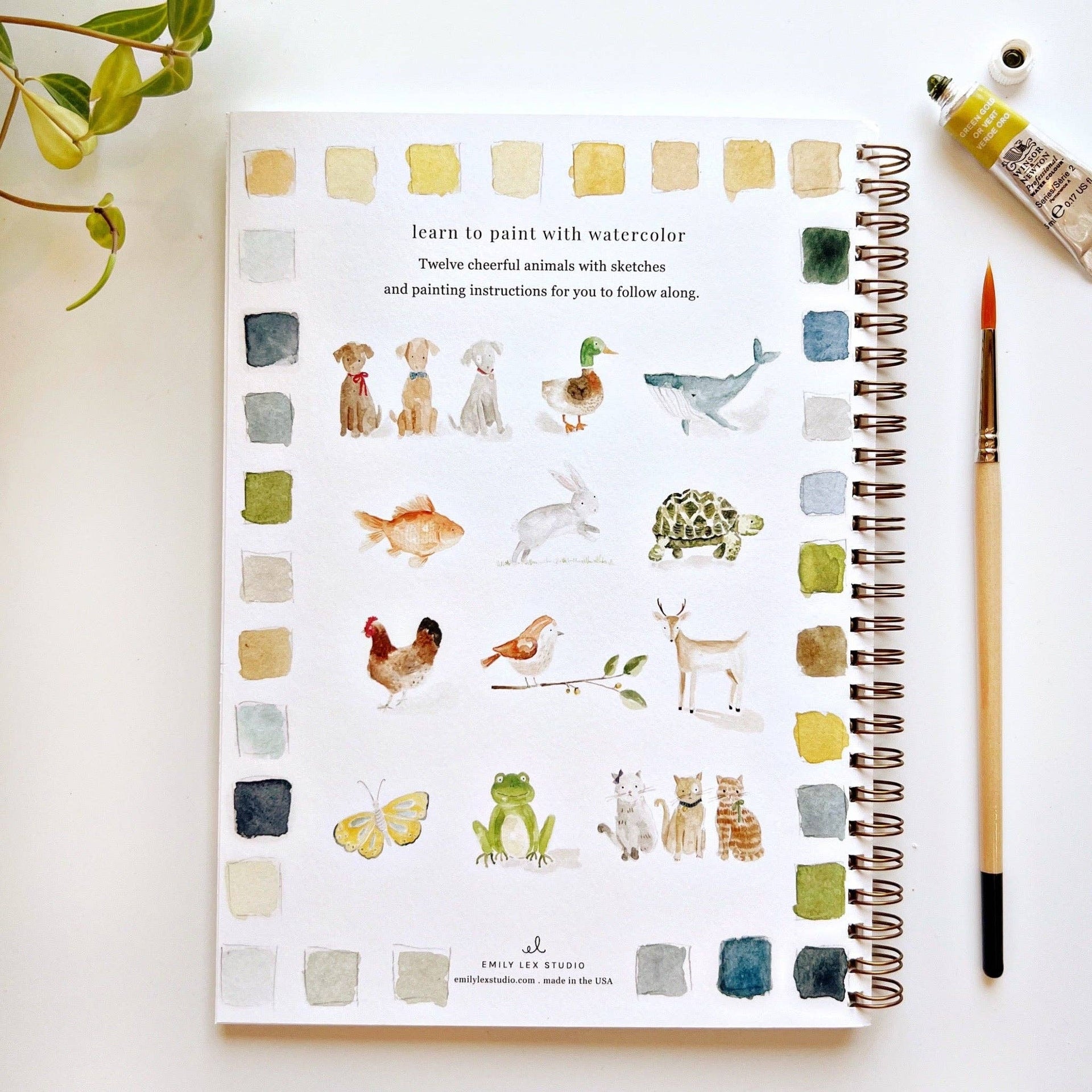 Animals watercolor workbook | Niche&Co.