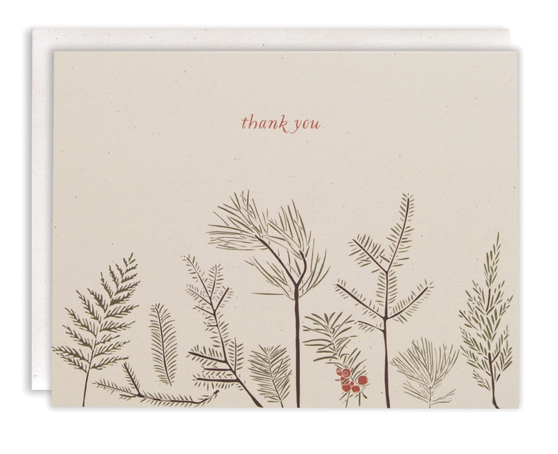 Conifers Thank You / Boxed Set of 8